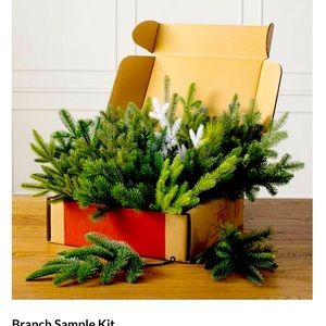 Balsam Hill branch sample box.  Picked which one I love, now it can be your turn